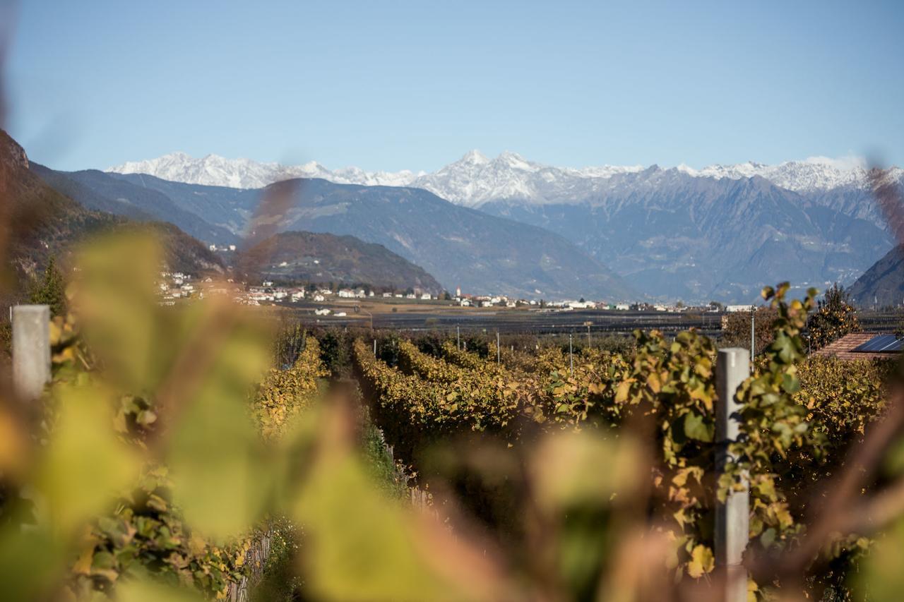 Weingut Dona Villa Appiano Sulla Strada Del Vino Exterior photo